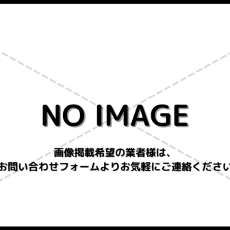 エヒメペイント_NO IMAGE